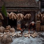 Analyzing Global Economic Factors Affecting Local Housing Bubbles