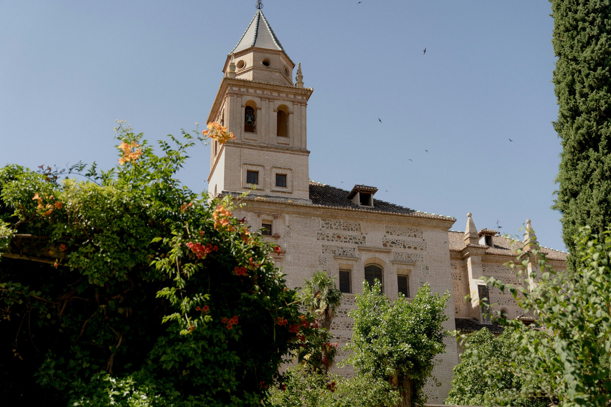 The History of Blues Music: Lessons on Cultural Influence