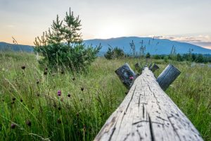 The Best Gadgets for Enhancing Your Outdoor Adventures